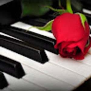 Meet your Posher, Jermale